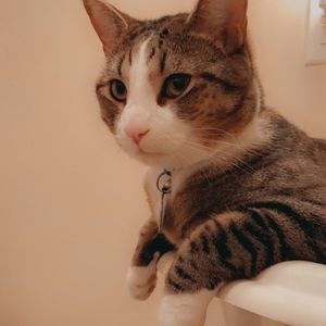 Meet your Posher, Bridgette